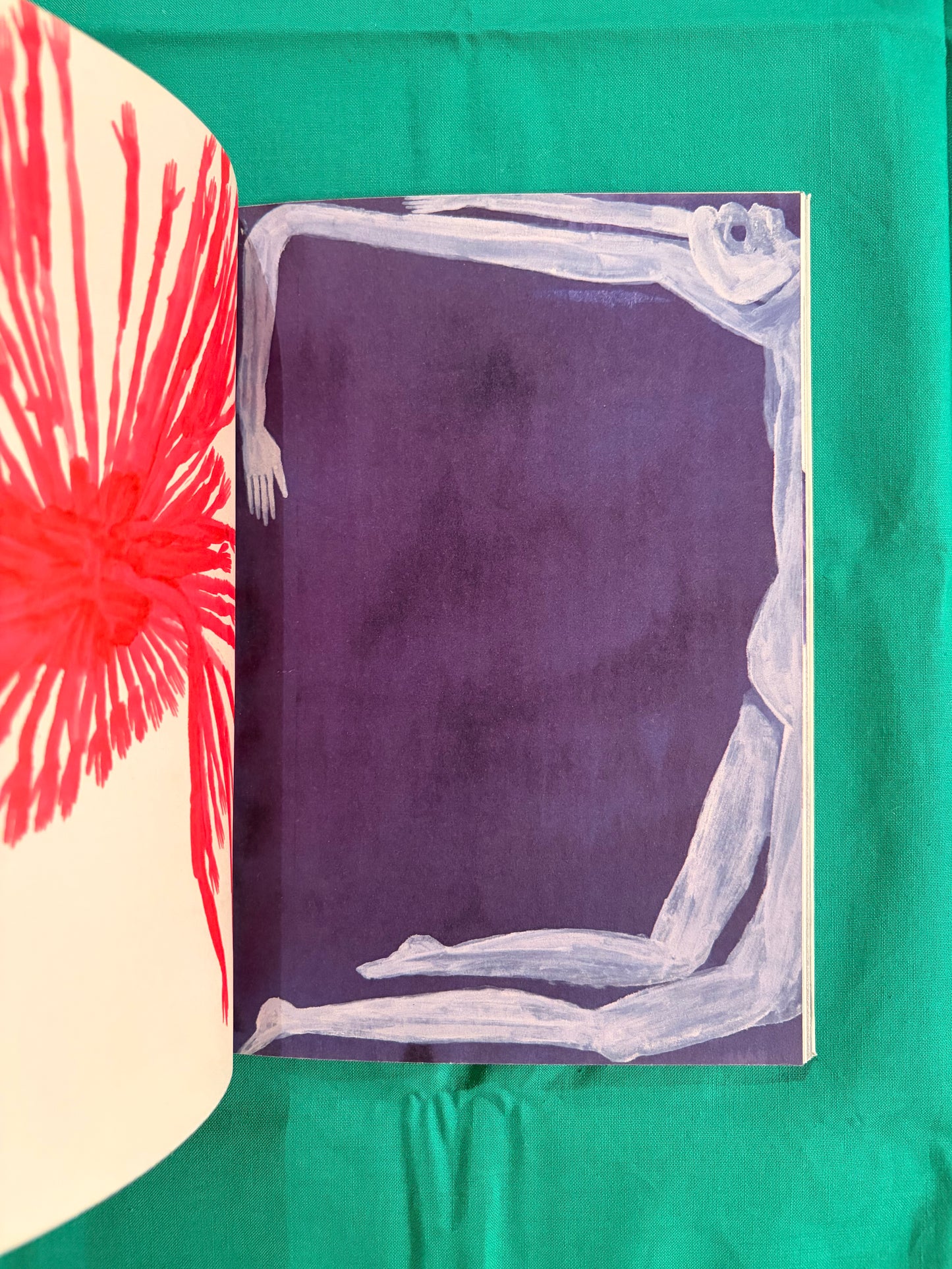 Ce que les yeux dispersent / Alexandra Duprez