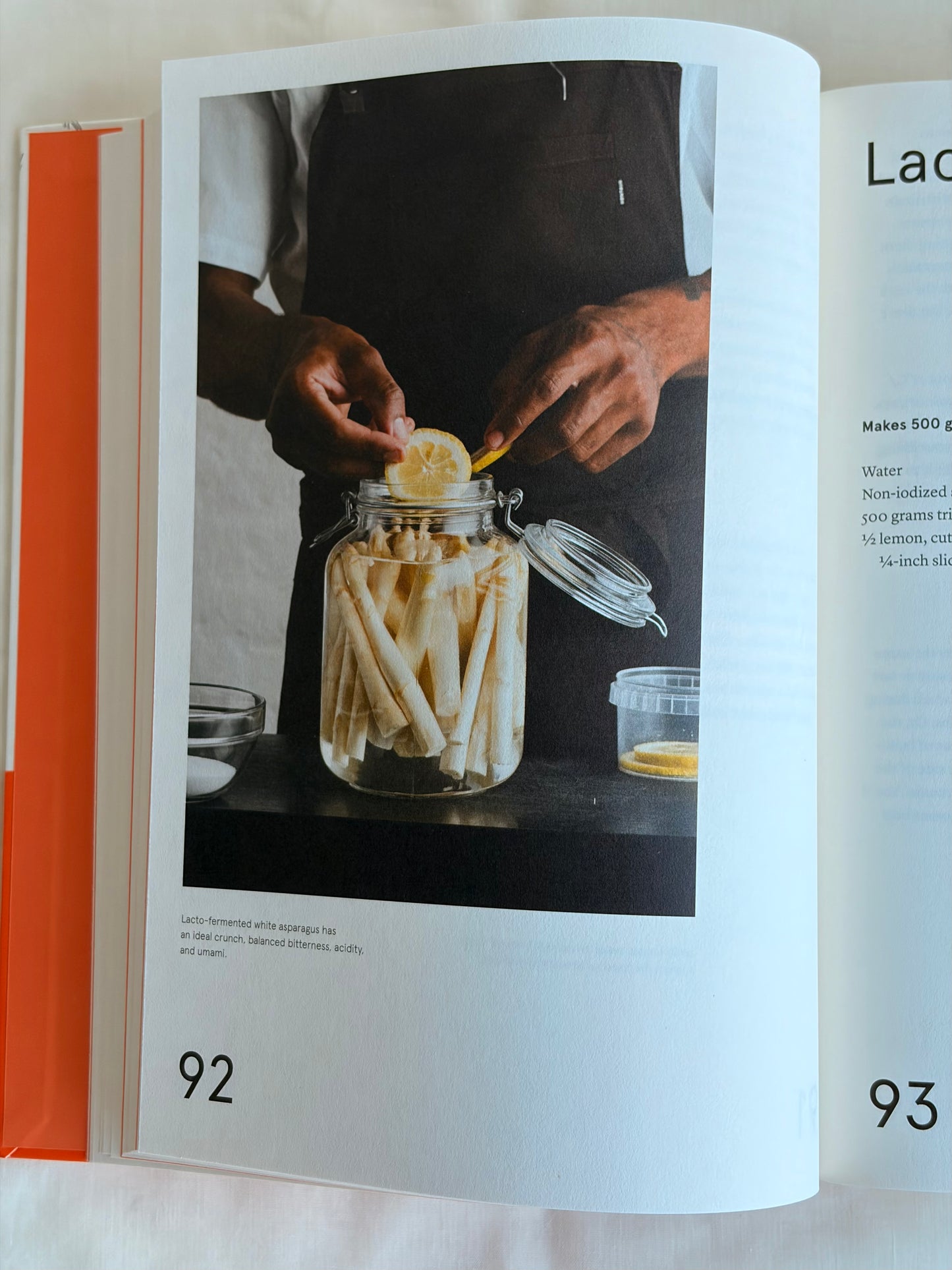 The Noma Guide to Fermentation  by René Redzepi & David Zilber