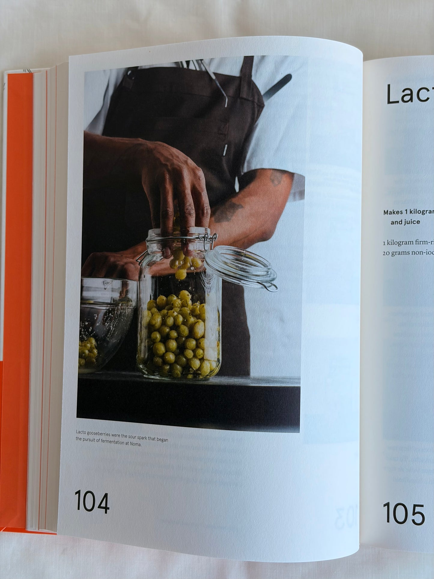 The Noma Guide to Fermentation  by René Redzepi & David Zilber
