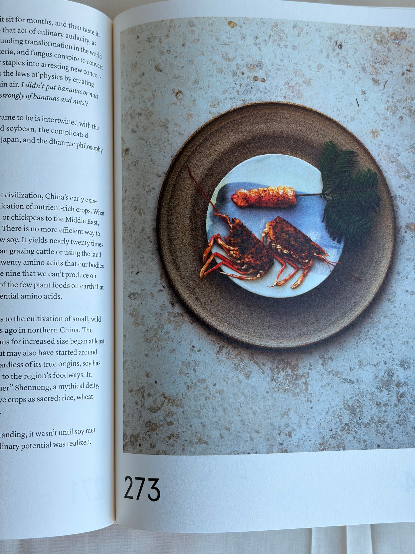 The Noma Guide to Fermentation  by René Redzepi & David Zilber