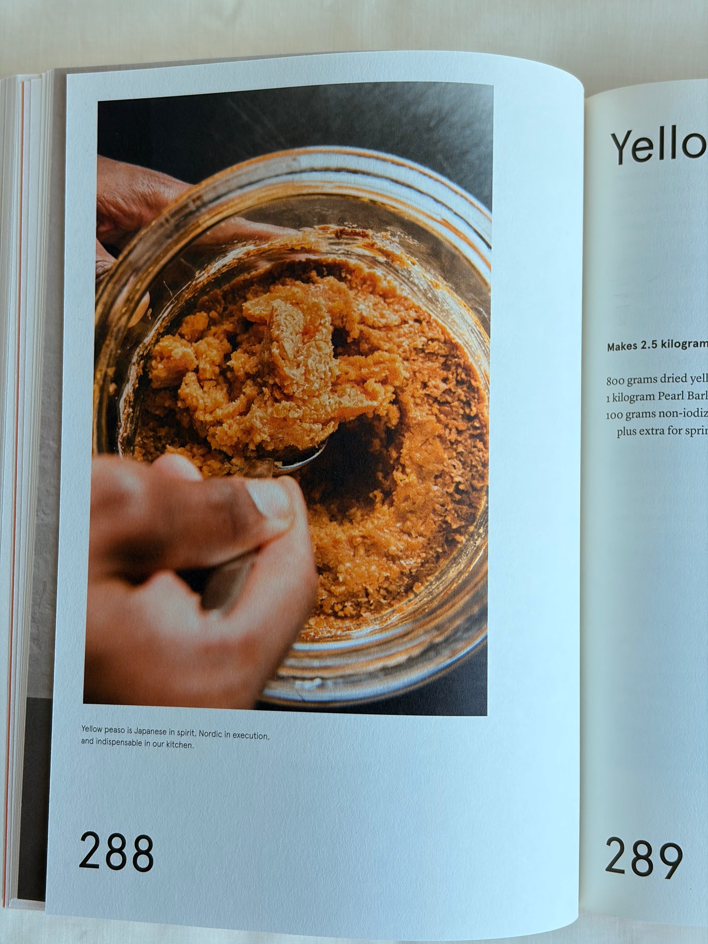The Noma Guide to Fermentation  by René Redzepi & David Zilber